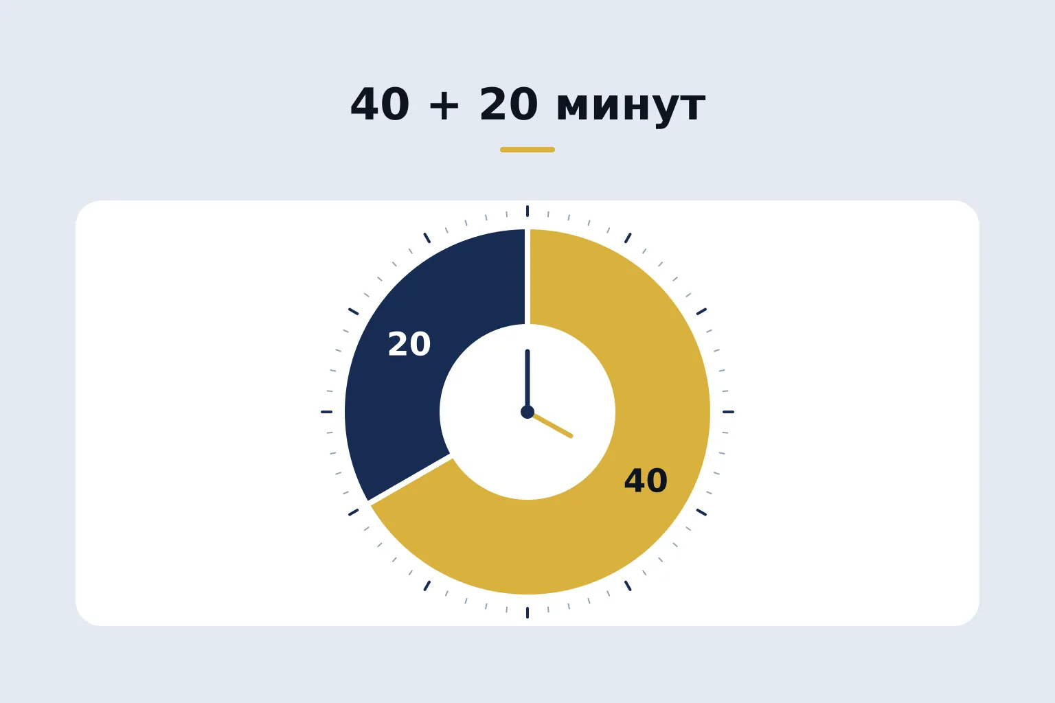 40 + 20 минут — круговой таймер из двух секторов